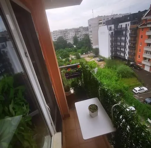 Lavender, Near To Airport *